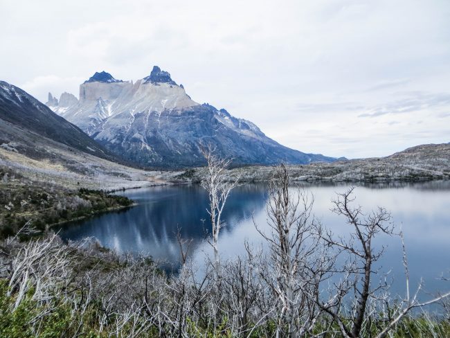 Skottsberg lake - one of the highlights between Paine Grande and Camp Italiano